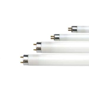 Fluorescent Tubes 4'