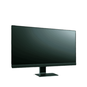 Computer Monitor (LCD)