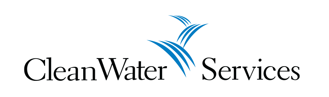 Clean water services